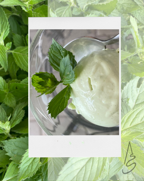 albertīnes mohito saldējums