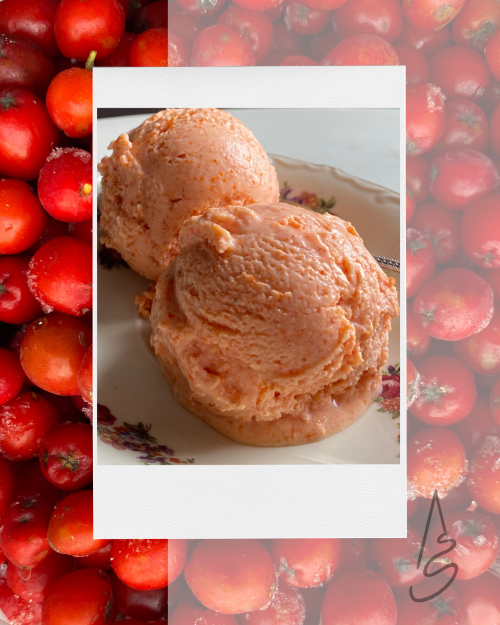 albertīnes pīlādžu saldējums