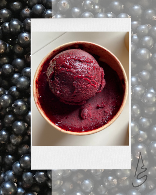 albertīnes upeņu banānu sorbets