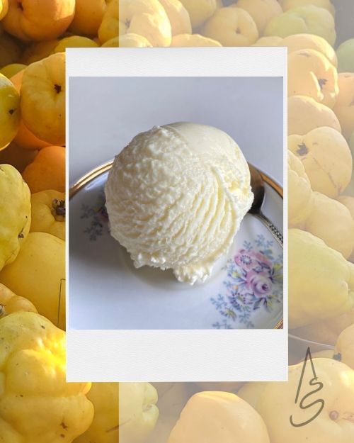 albertīnes cidoniju saldējums