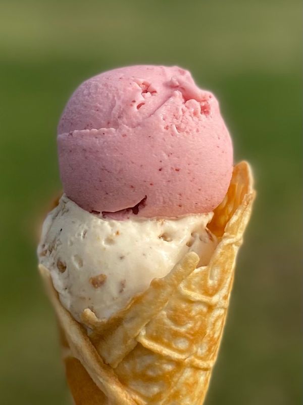 Albertīnes saldējums albertīnes saldējums pašceptā vafelē